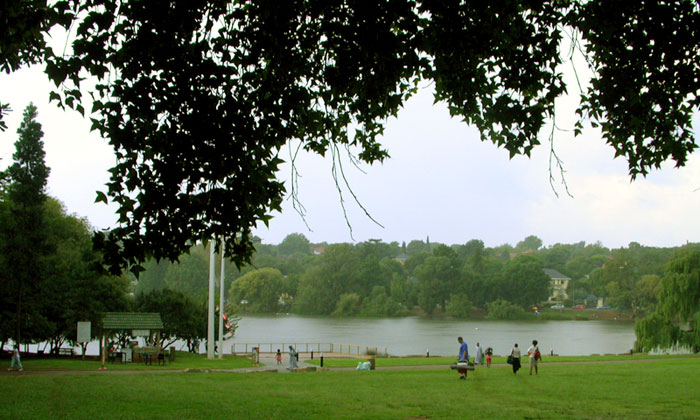Rainy Park