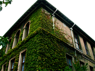 UCT - Green Growth Building