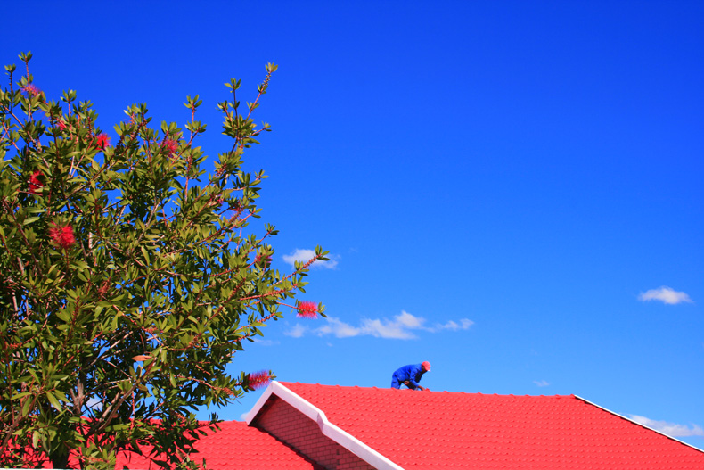 roof painting.