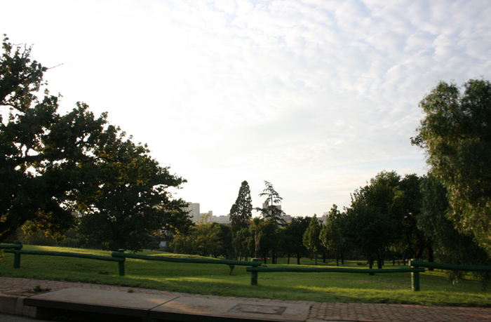 Park by Nemisa