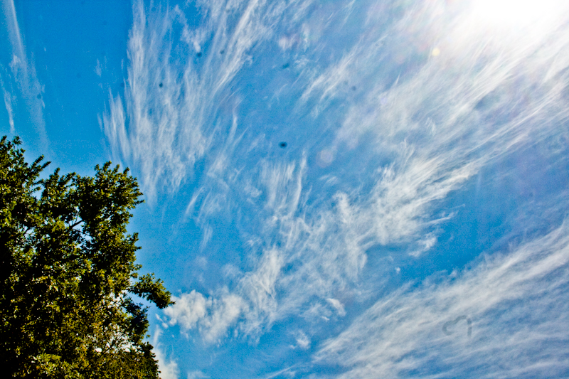 Looking up, again.